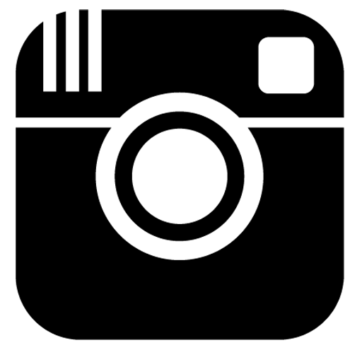 Insta Logo